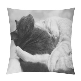 Personality  Sleeping Cats Pillow Covers