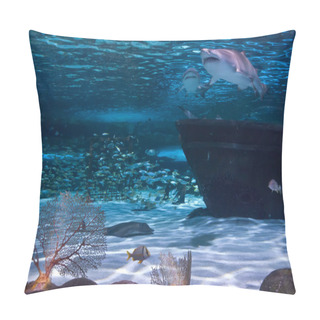 Personality  Sharks And Wreckage Pillow Covers