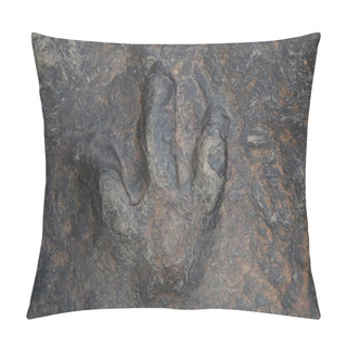 Personality  Dinosaur Footprints In Thailand. Pillow Covers