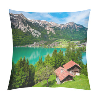 Personality  Panorama Of Lake Brienz Pillow Covers