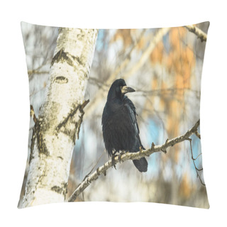 Personality  Beautiful And Big Black Crow Sitting On A Branch In Cold Winter Weather, A Beautiful Bright Background Pillow Covers