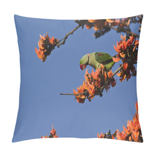 Personality  Alexandrine Parakeet In Bardia, Nepal Pillow Covers