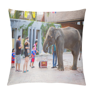 Personality  Many People Feeding Food To Baby Elephant  Pillow Covers