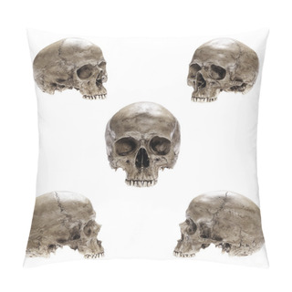 Personality  Isolated Skull Pillow Covers