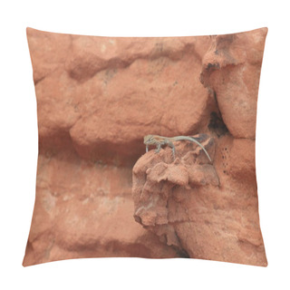 Personality  A Lizard Climbs The Rock Formations In The Valley Of Fire Pillow Covers