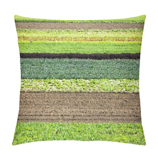 Personality  Row Crops Pillow Covers
