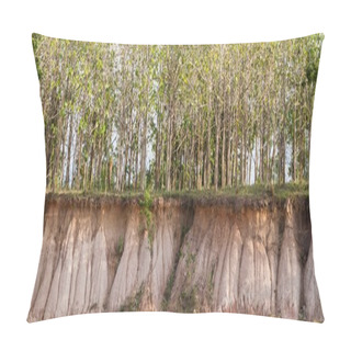 Personality  In The Tree And Section Of Soil. Erosion Due To Water Erosion. Pillow Covers
