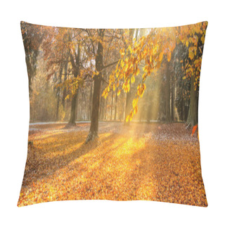 Personality  Beautiful Colored Trees In Autumn, Landscape Photography Pillow Covers