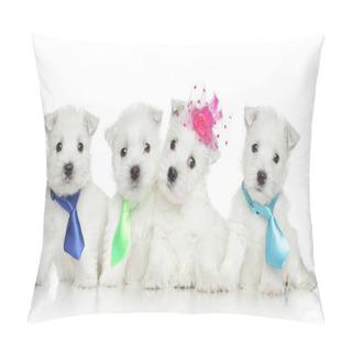 Personality  West Highland White Terrier Puppies Pillow Covers