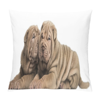 Personality  Shar Pei Puppies Lying, Cuddling, Isolated On White Pillow Covers