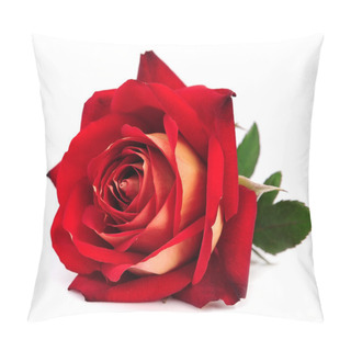 Personality  Red Rose Isolated Pillow Covers