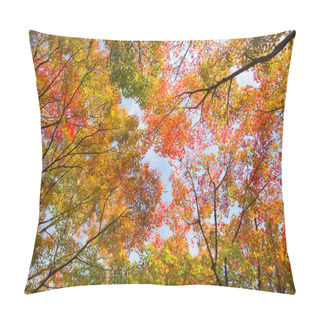 Personality  Colorful Autunm Treetops. Pillow Covers