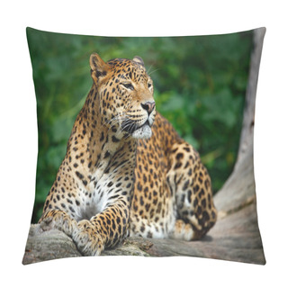 Personality  Sri Lankan Leopard Pillow Covers