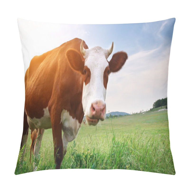 Personality  Cow in meadow pillow covers