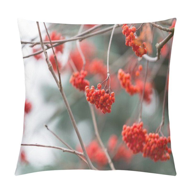 Personality  Red Rowan Berries Pillow Covers