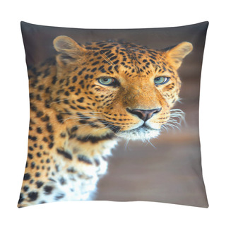 Personality  Leopard  Pillow Covers