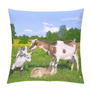 Personality  Goat With Kids In The Pasture Of Organic Farm Pillow Covers
