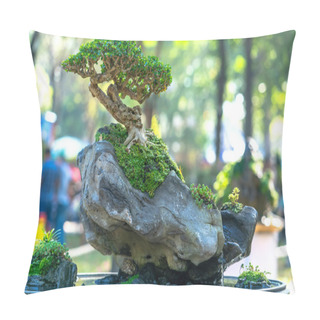 Personality  Bonsai And Penjing With Miniature In A Tray Like To Say In Human Life Must Be Strong Rise, Patience Overcome All Challenges To Live Good And Useful To Society Pillow Covers