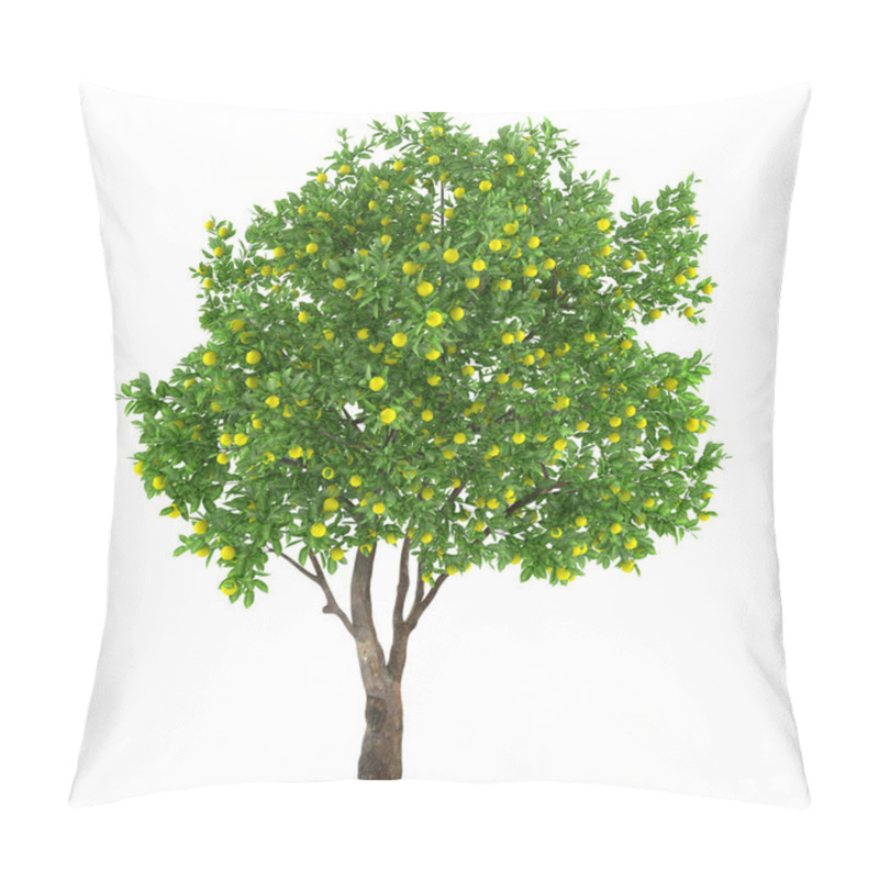 Personality  Citrus fruit tree isolated. lemon pillow covers