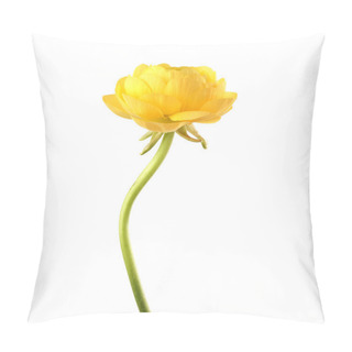 Personality  Yellow Anemone Flower Isolated On White. Pillow Covers