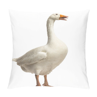 Personality  Domestic Goose, Anser Anser Domesticus, Standing And Clucking, I Pillow Covers