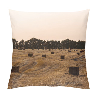 Personality  Green Trees Near Wheat Field With Hay In Evening  Pillow Covers