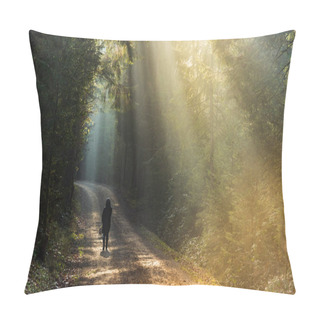 Personality  Girl In Sun Rays Walking With Beagle Dog On Leash In Forest Path Pillow Covers