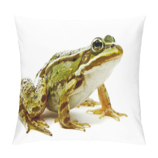 Personality  Rana Esculenta. Green (European Or Water) Frog On White Backgrou Pillow Covers