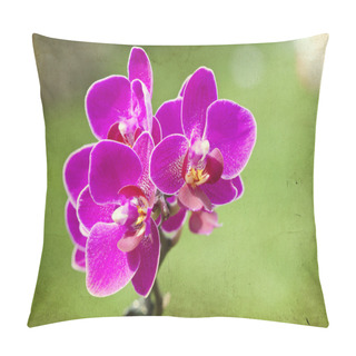 Personality  Vintage Pink Orchid  Pillow Covers