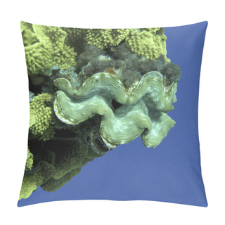Personality  Coral Reef With Tridacna Gigas On A Background Of Blue Water, Underwater Pillow Covers