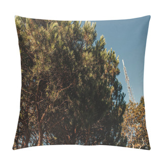 Personality  High Coniferous Trees Against Blue Sky Pillow Covers