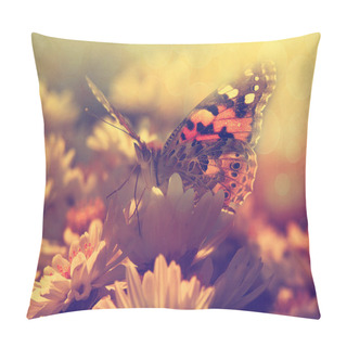 Personality  Butterfly In Sunset Pillow Covers