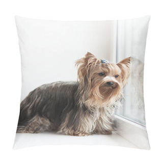 Personality  Yorkshire Terrier Near A Window Pillow Covers