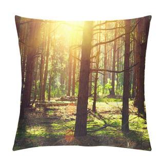 Personality  Autumn Woods With Sunlight Pillow Covers