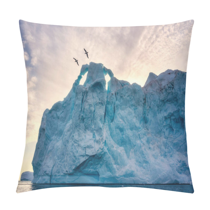 Personality  Greenland Ilulissat glaciers at ocean at polar night with birds pillow covers