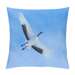 Personality  Flying White Bird Red-crowned Crane Pillow Covers