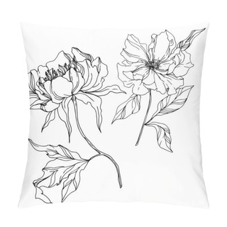 Personality  Peony Floral Botanical Flowers. Black And White Engraved Ink Art. Isolated Peonies Illustration Element. Pillow Covers