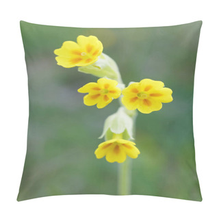 Personality  Closeup Of Yellow Cowslip Flower (latin Name: Primula Veris), Short Depth Of Focus Pillow Covers