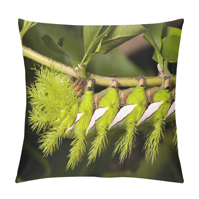 Personality  Hairy Caterpillar Pillow Covers