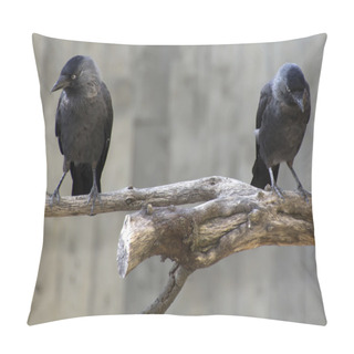 Personality  Crows On A Branch Pillow Covers
