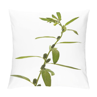 Personality  Free Sesame Flowering Pillow Covers