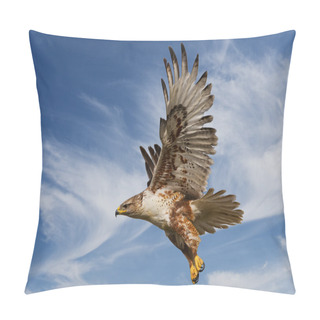 Personality  Ferruginous Hawk Pillow Covers