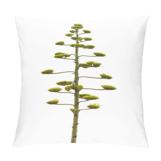 Personality  Flowering  Agave Americana Pillow Covers