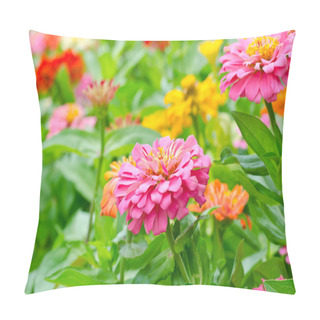 Personality  Zinnia Flowers In The Garden Pillow Covers
