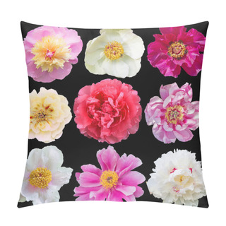 Personality  Beautiful Peony Blossoms Isolated On Black Background Pillow Covers