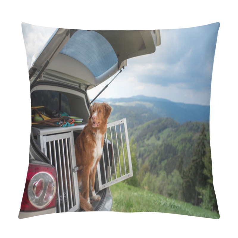 Personality  dog in the car in the box. A trip with a pet. Nova Scotia Retriever outdoors pillow covers