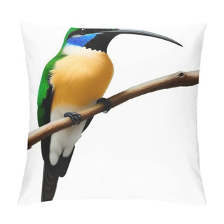 Personality  Cuteness Hummingbird Pencil Draw Vector. Vector Illustration Pillow Covers