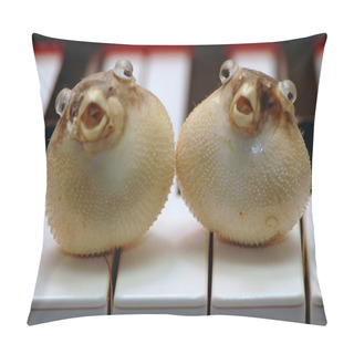 Personality  Fishy Duet Pillow Covers