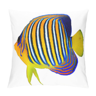 Personality  Royal Angelfish Pillow Covers