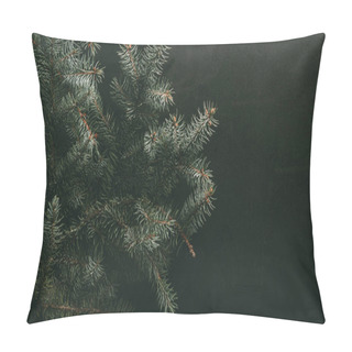 Personality  Green Fir Branches On Dark Background Pillow Covers